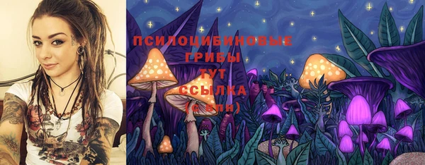 стафф Карталы